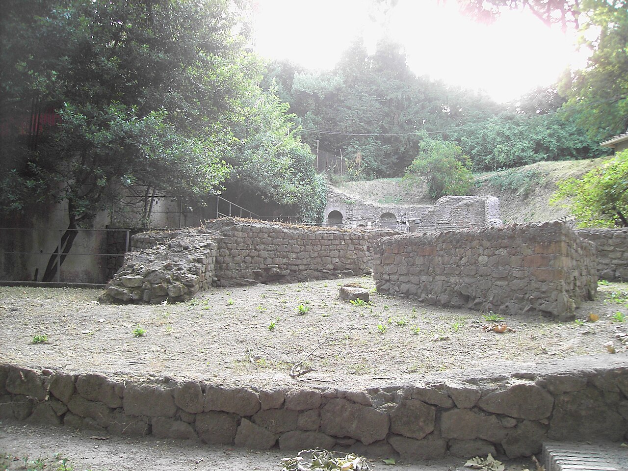 1. Monte Verde (Chile’s cousin in the debate) and the quiet death of the “Clovis‑first” story
