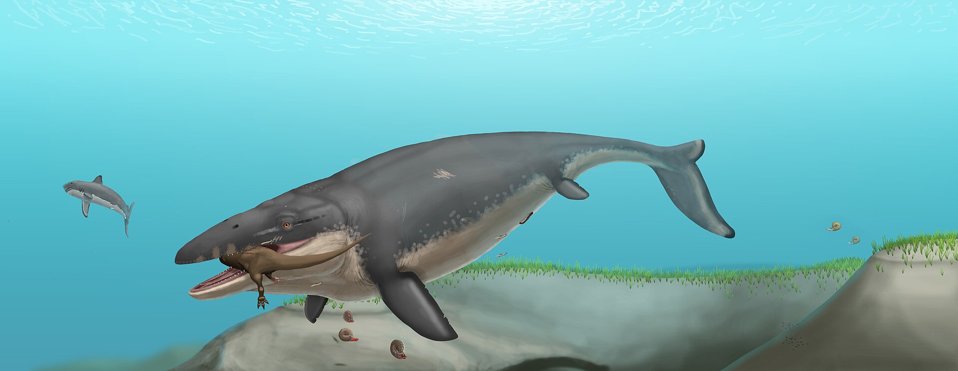 The Mosasaur: The Silent Deep-Water Ambusher
