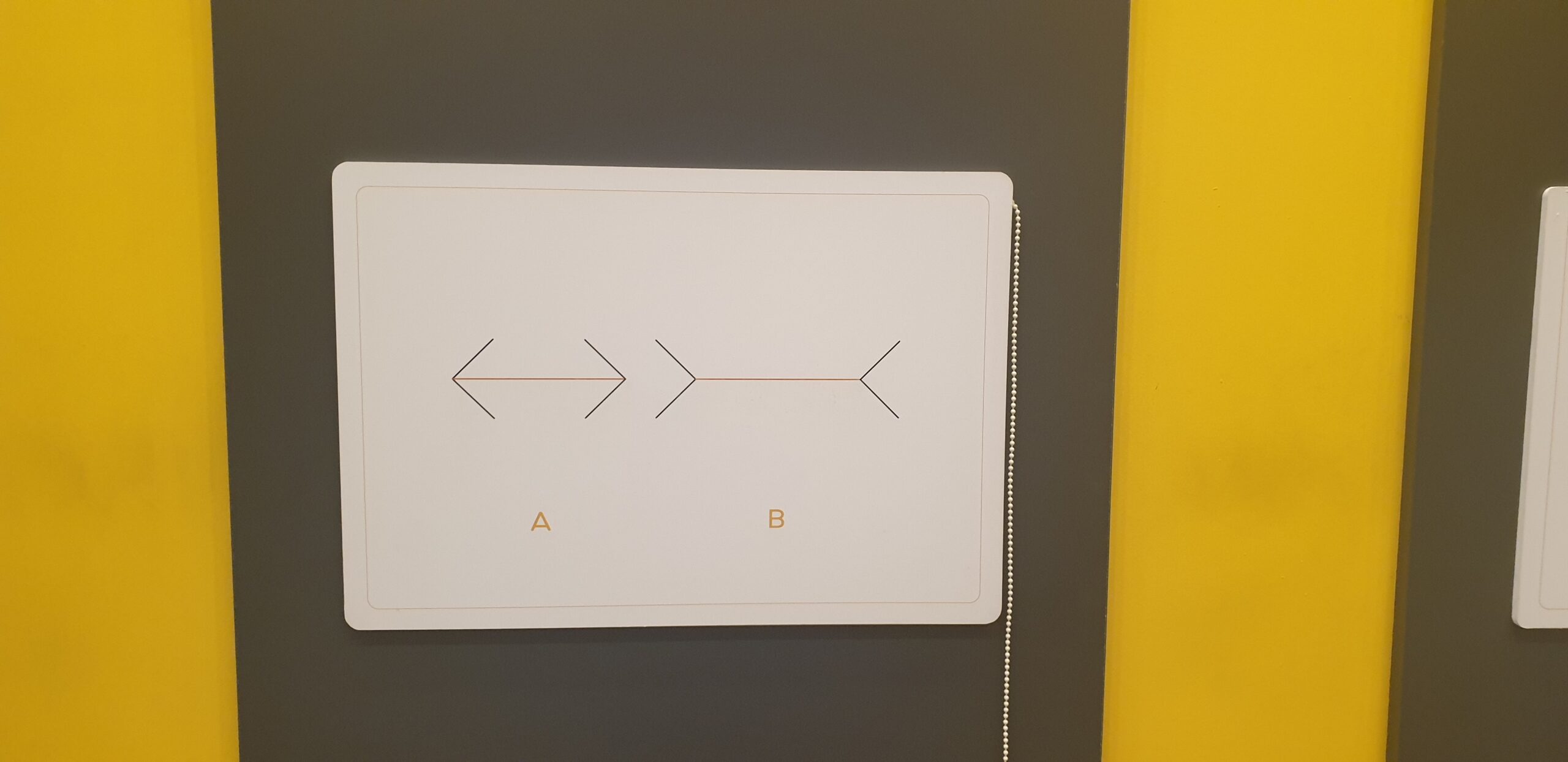 1. The Müller-Lyer Illusion: When Arrows Trick Your Sense of Size