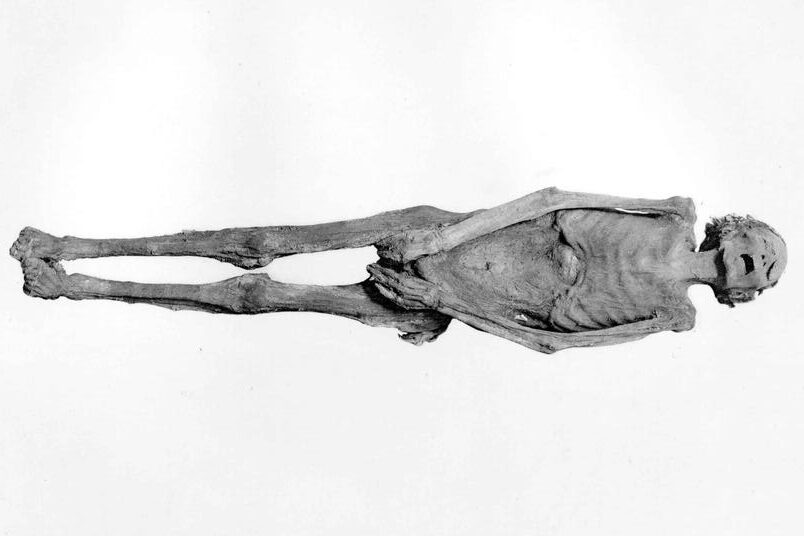 The “Screaming Mummy” and the Limits of Forensic Drama