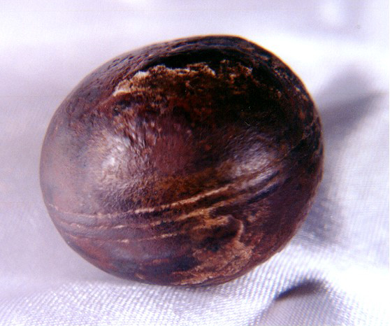 #14 - The Klerksdorp Spheres: South Africa's Billion-Year-Old Puzzle