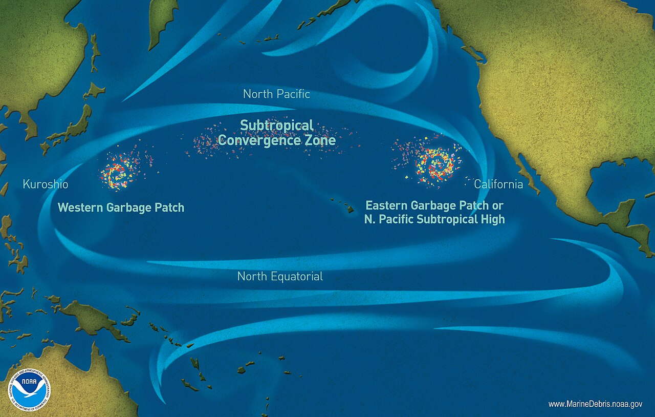 #12 - The Patch of Pacific Seafloor That Keeps Vanishing