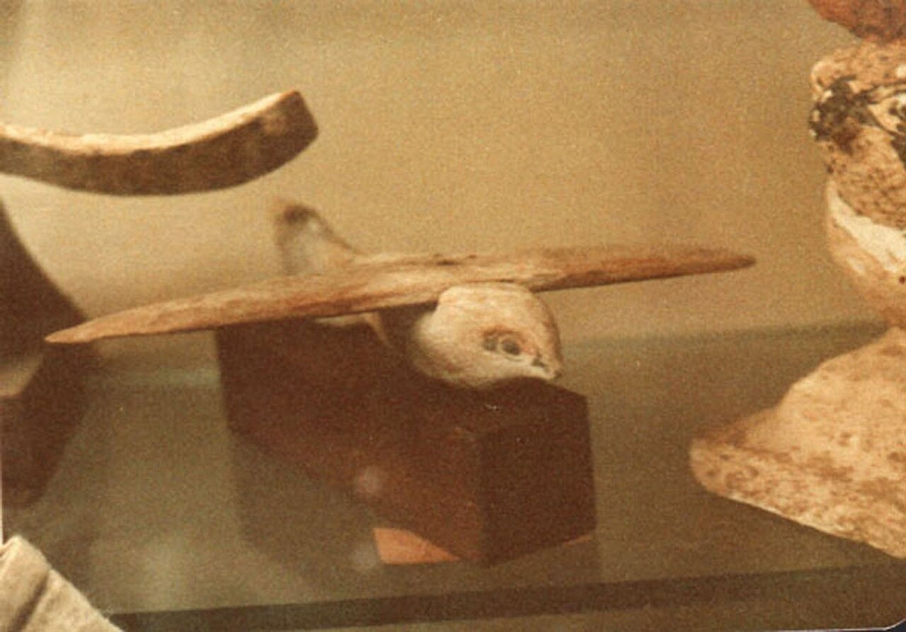 #13 - The Saqqara "Bird" That Wouldn't Behave Like a Toy