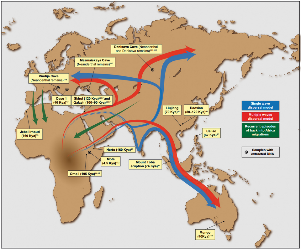 Humans Left Africa Just Once