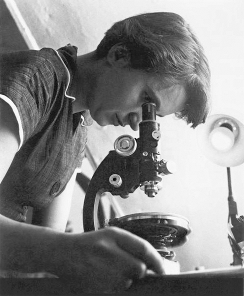 #7 - Rosalind Franklin's Data Cracked the DNA Code