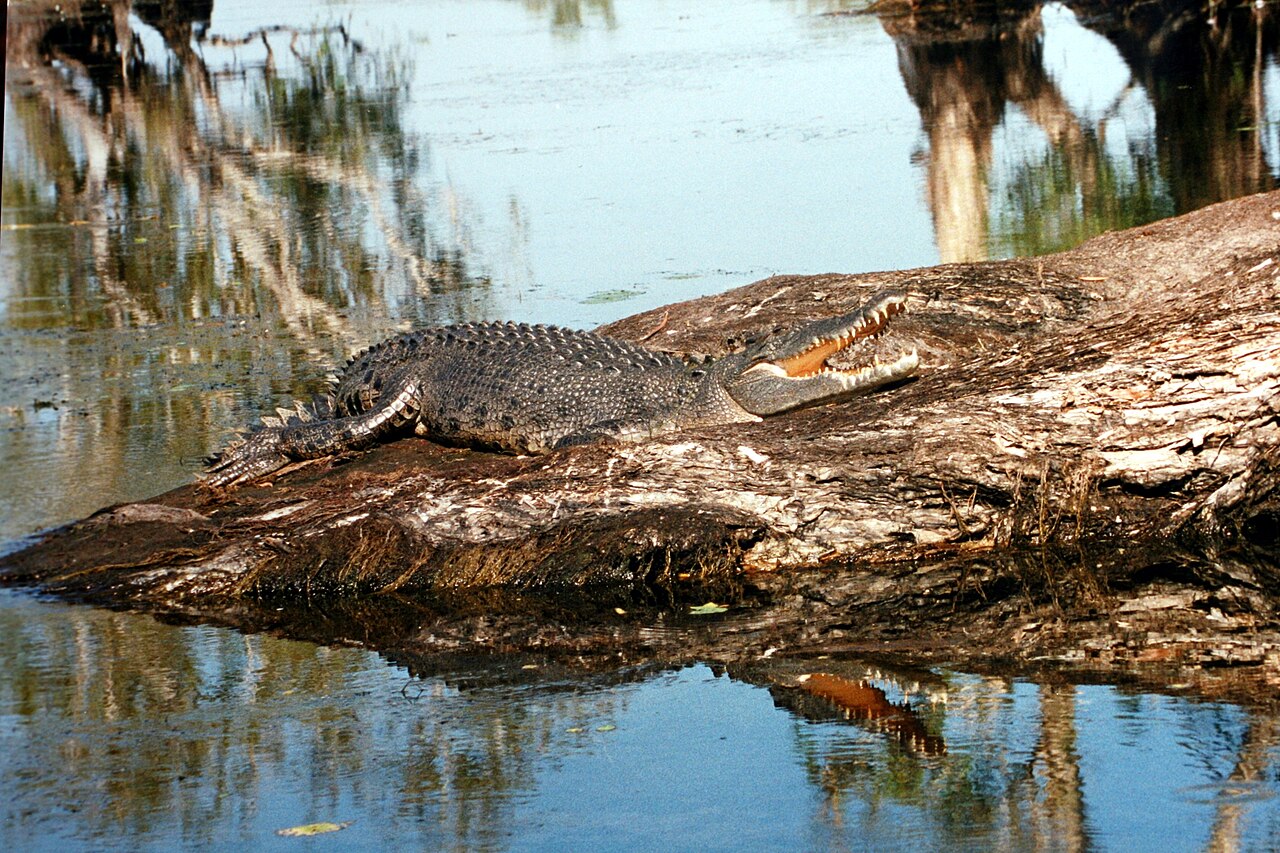 6. Kakadu National Park, Australia – Ancient Rock and Living Floodplains