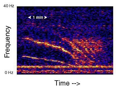 10. The Slow Down: A Planet-Scale Braking Noise