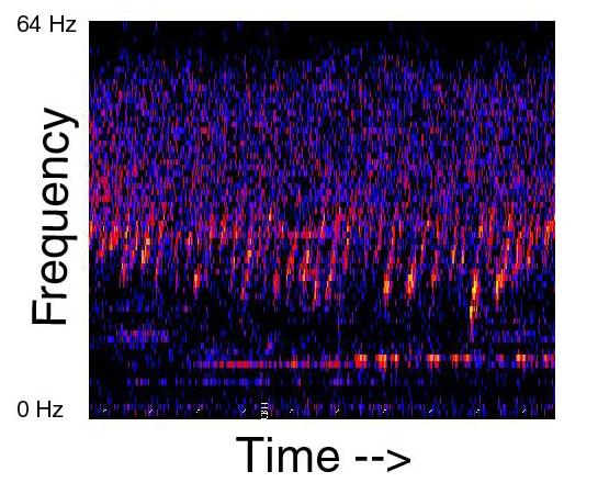 14. The Upsweep: A Sound That Just Won't Stop