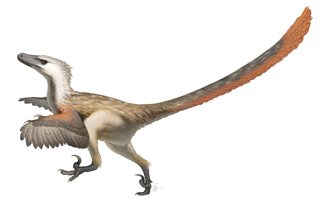 The Velociraptor (and its real cousins): The Pack Tactician