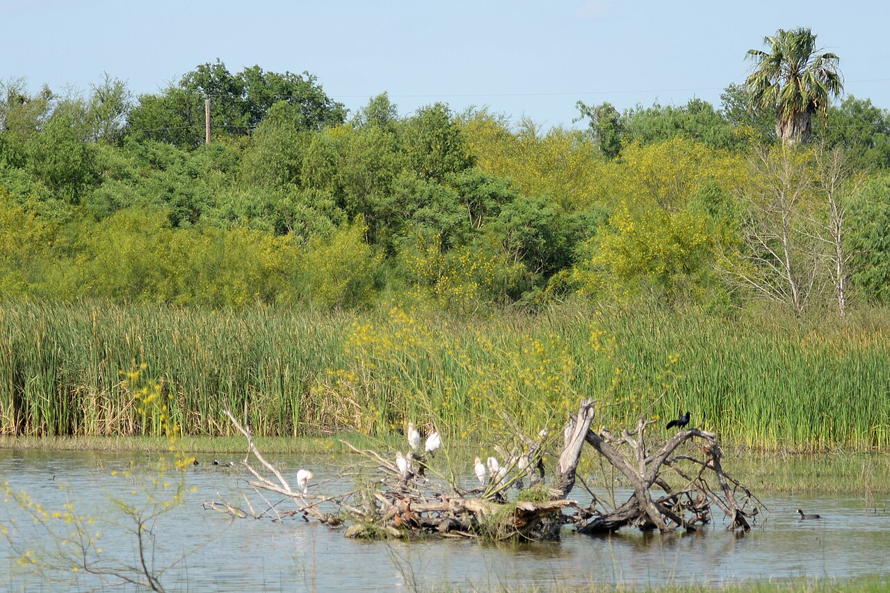 Santa Ana National Wildlife Refuge, Texas