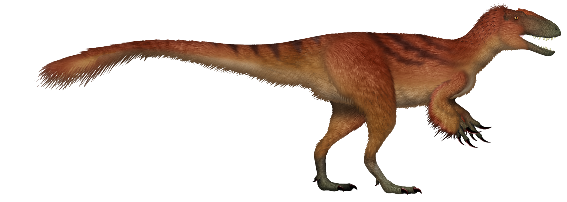 3. Yutyrannus: The Giant, Shaggy Cousin of T. rex