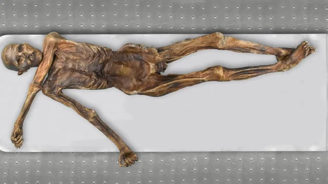 #12 - Ötzi the Iceman's Equipment: From Survival Kit to Evidence of Social Networks