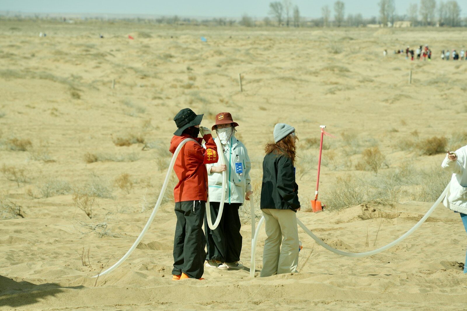 #8 - The Environmental Signal That Looked Like Noise 