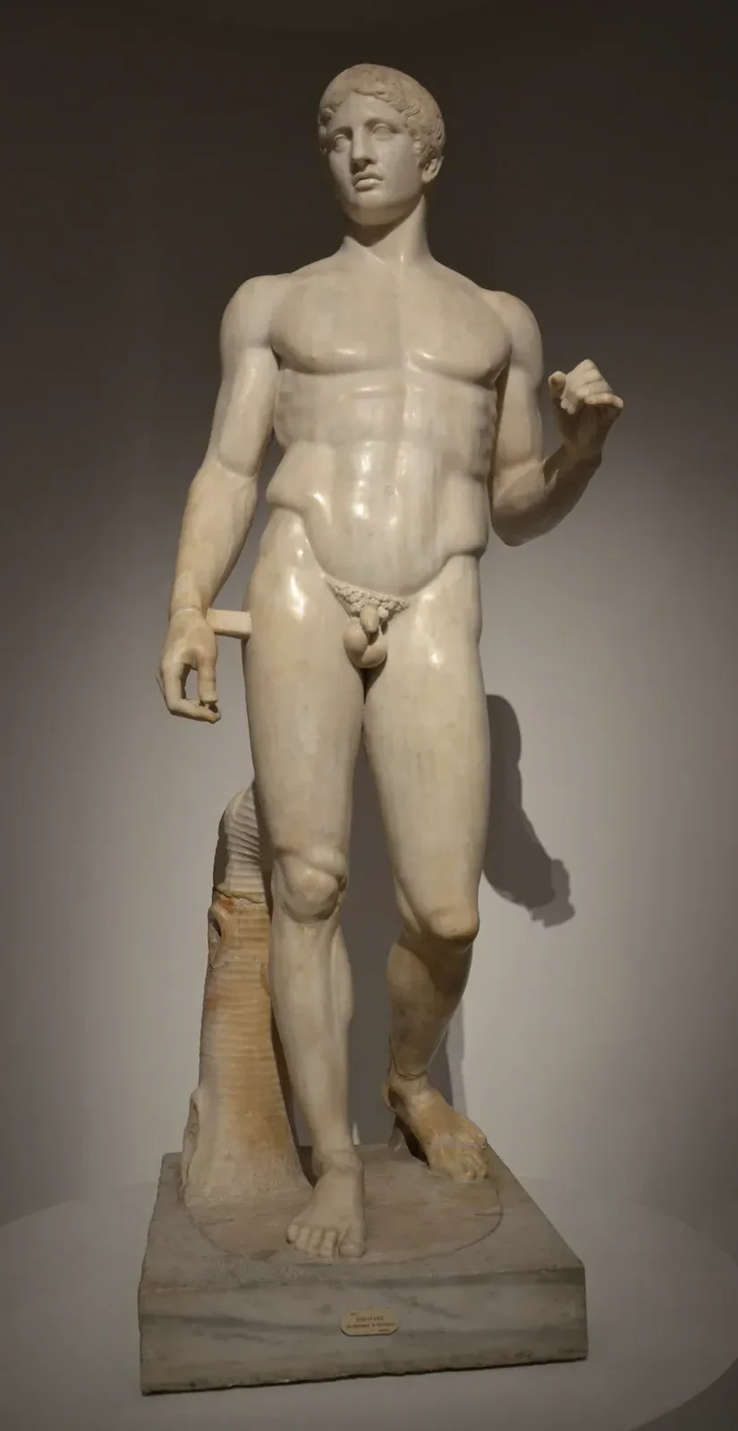 #6 - The Doryphoros: The "Perfect Body" Textbooks Teach Is A Reverse-Engineered Guess