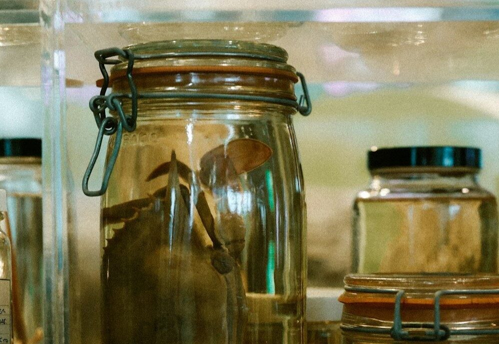 #10 - The "Medical Oddities" From Non-Consenting Patients