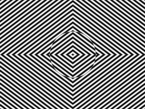6. The Motion Aftereffect: Why the World Seems to Move When It Doesn’t