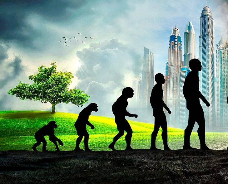 The Puzzle Hidden In Your Family Tree 