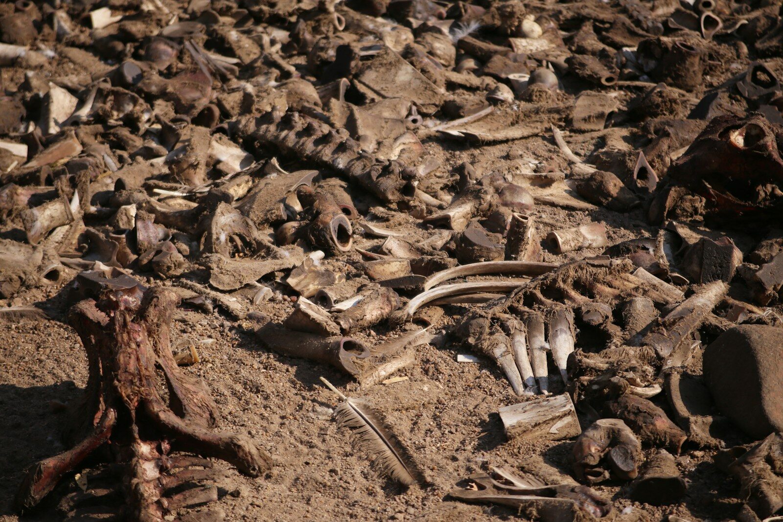 Curiosity, Awe, and the Strange Beauty of Endings