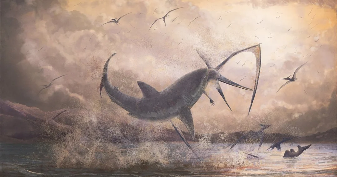 Why Fossil Sharks Are Found in Kansas Cornfields