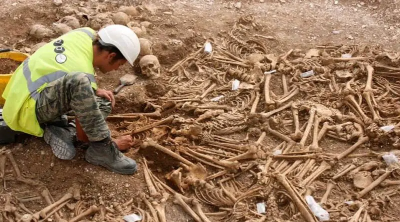 #13 - The Vikings Who Lost Their Heads, Then Their Answers