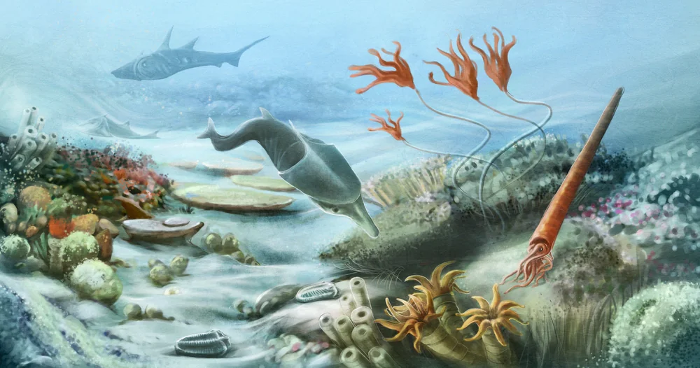 You’re Standing on the Remains of an Ancient Tropical Seafloor