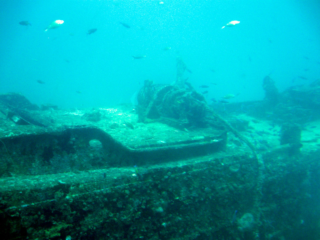 The 13 Wrecks That Survived Because Nobody Could Reach Them
