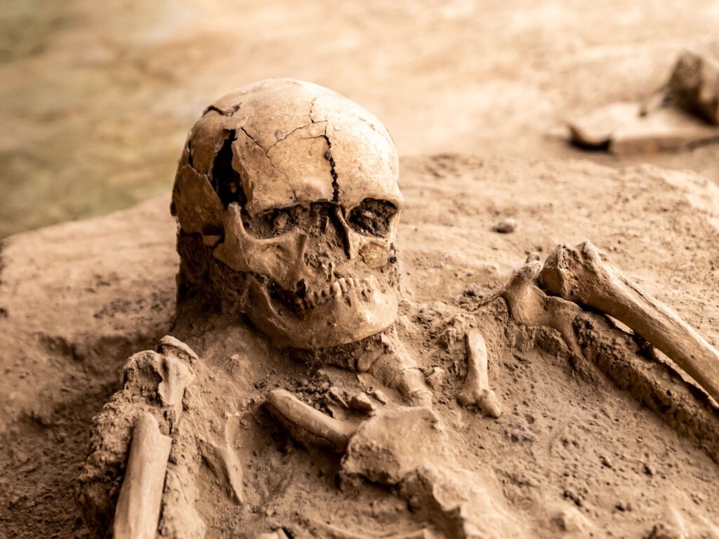 11 Things a Buried Skull Gives Away Before Any Dating Is Done