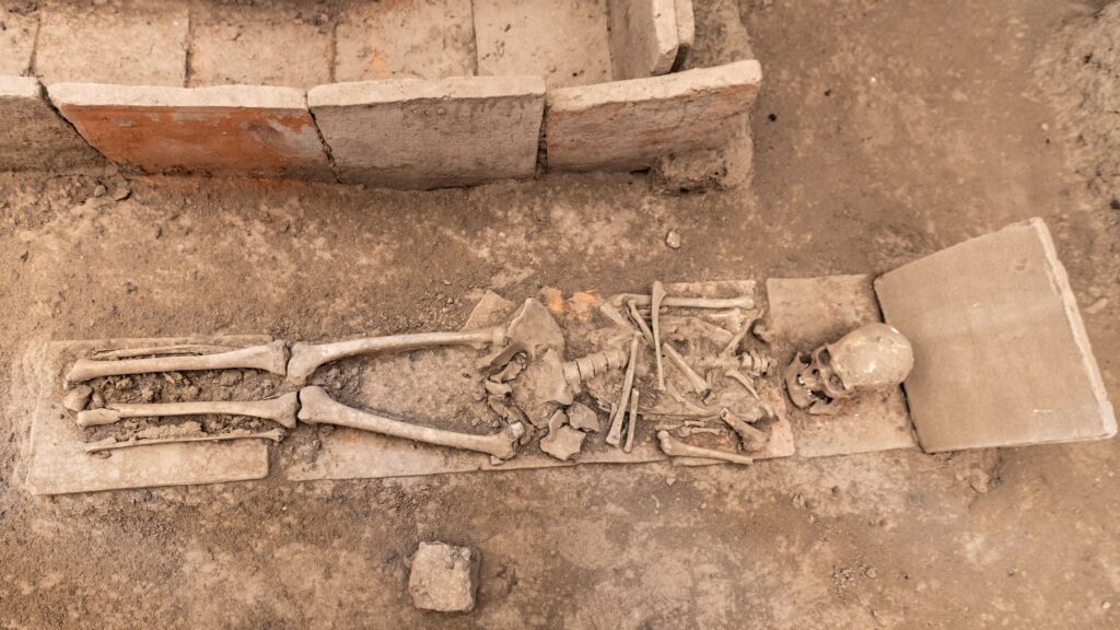 13 Signs a Skeleton Belonged to Someone Who Walked Enormous Distances