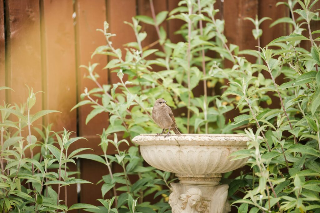13 Signs a Garden Is Feeding More Wildlife Than the Owner Realises