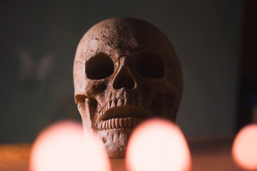 The Enamel-vs-Bone Mismatch That Maps a Journey (Image Credits: Pixabay)