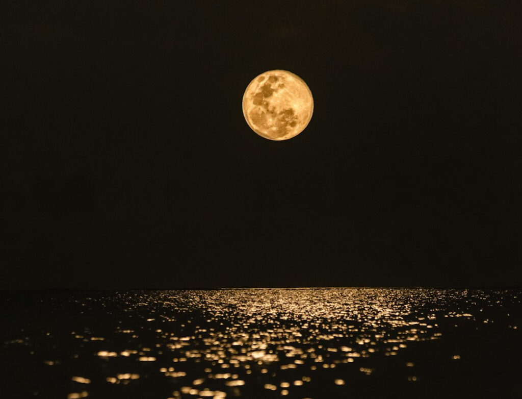 (Image Credits: Unsplash)