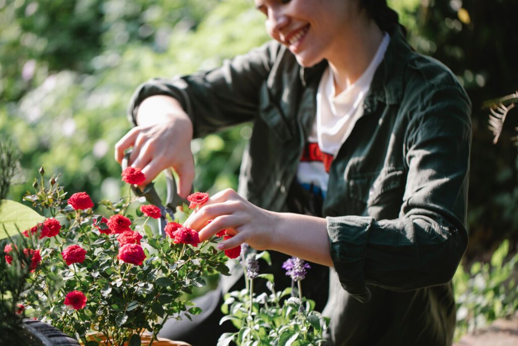 Which Old Gardening Rules Hold Up 12 Findings Agronomists Kept