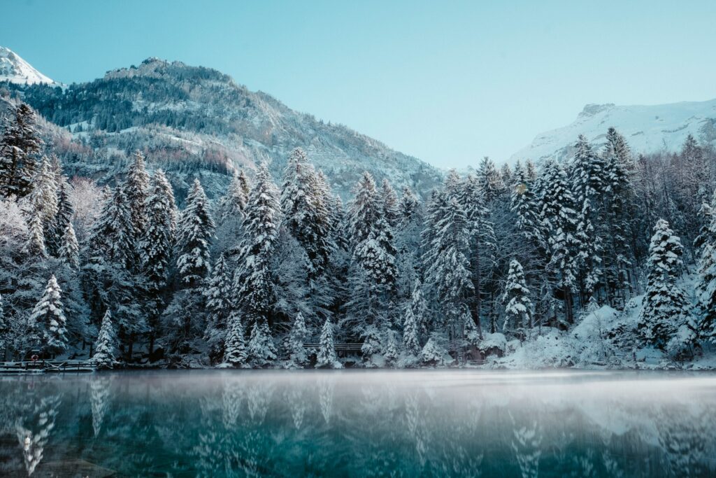 (Image Credits: Unsplash)
