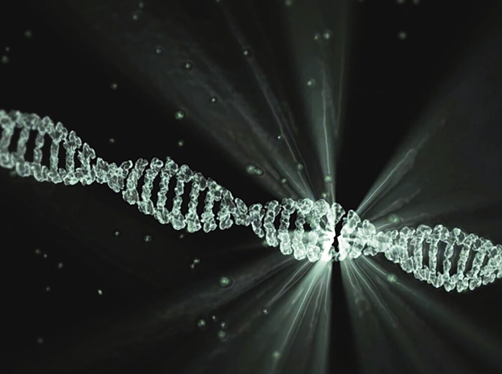 What Ancient DNA Reveals About Populations No Record Mentions 12 Findings