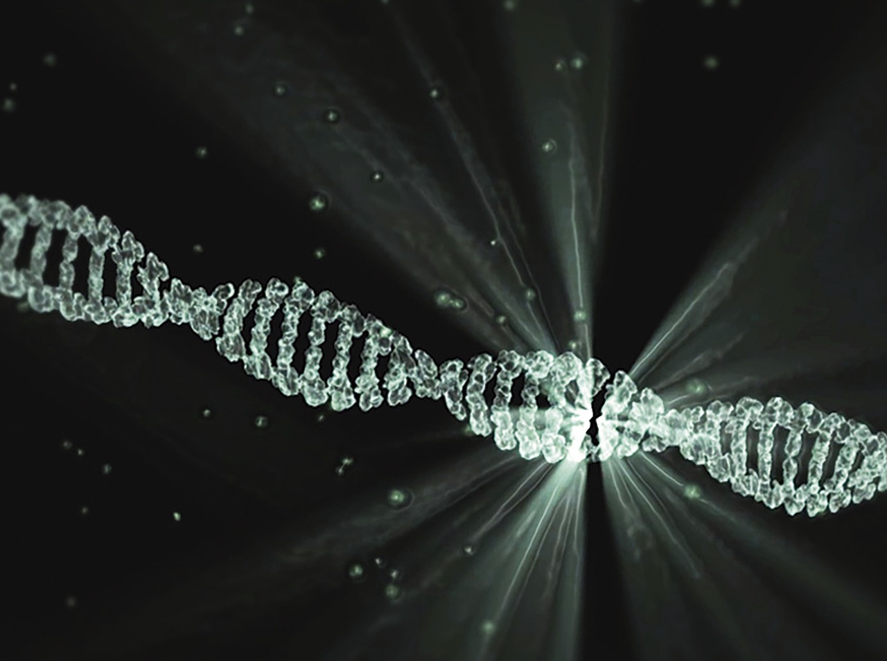 What Ancient DNA Reveals About Populations No Record Mentions 12 Findings