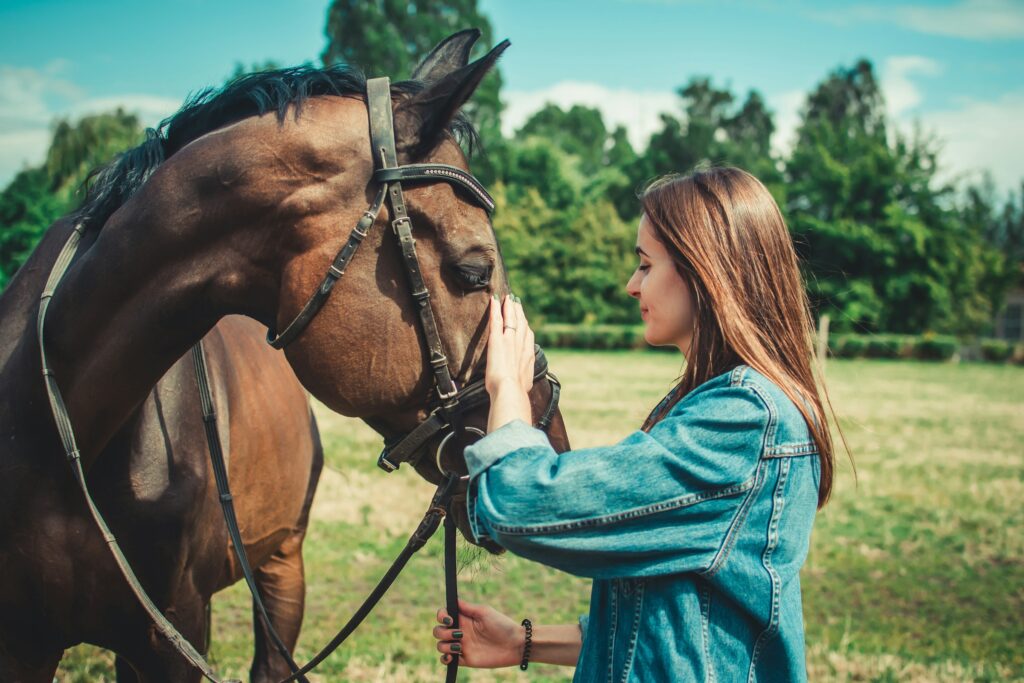 Animal Cognition Says Horses Remember People Who Treated Them Well and Those Who Did Not