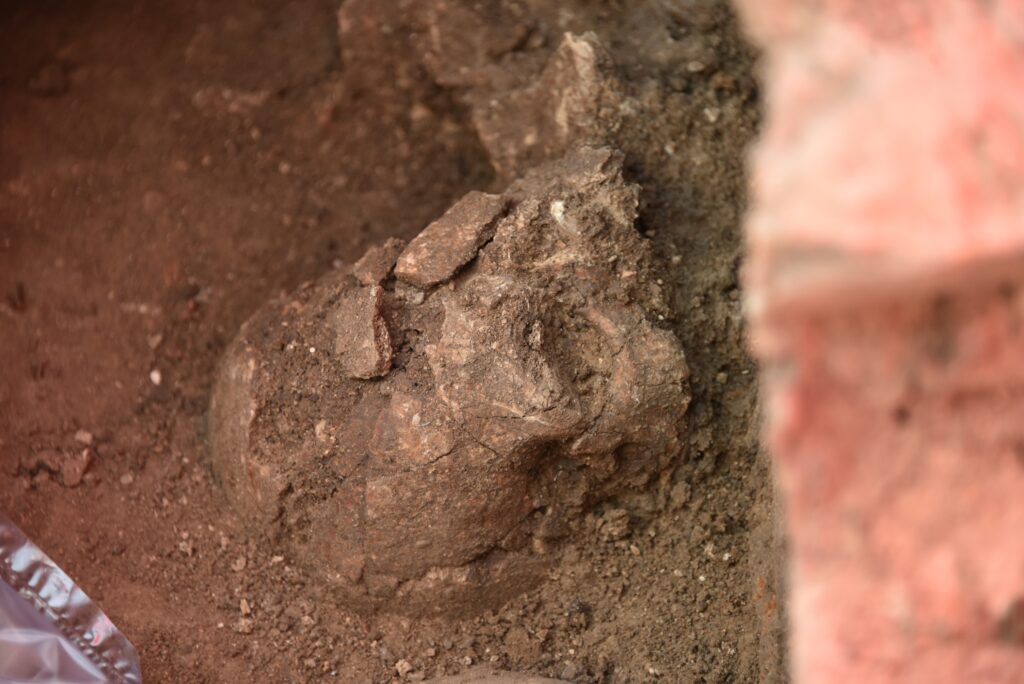 12 Finds Recovered From Spoil Heaps Nobody Had Checked