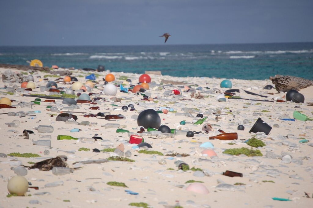 13 Finds the Sea Returns After a Winter of Storms