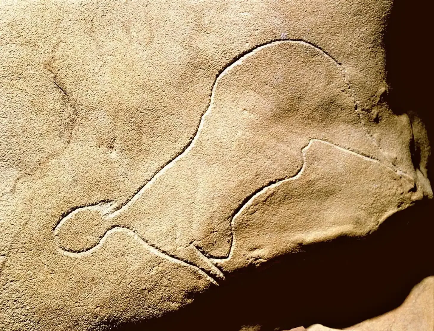#10 Cussac Cave, France – A Speleologist’s Routine Survey With A Shocking Twist