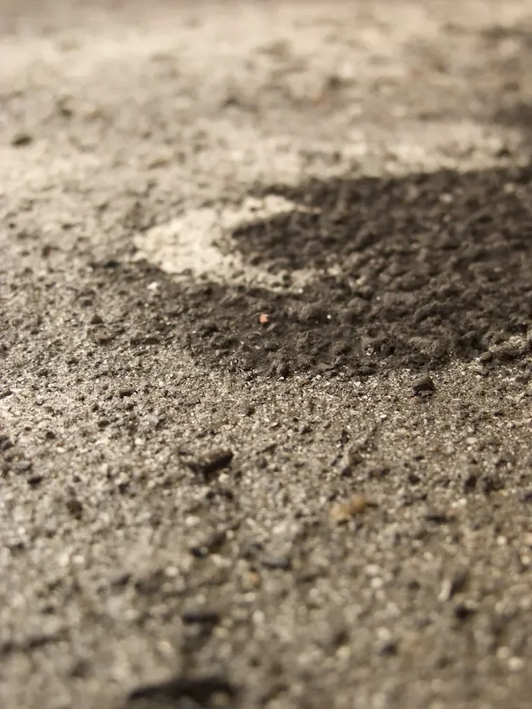 #8 - A Dark, Greasy Layer in the Soil Means Fire Was Here