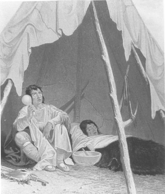 The Great Dying in the Americas After 1492