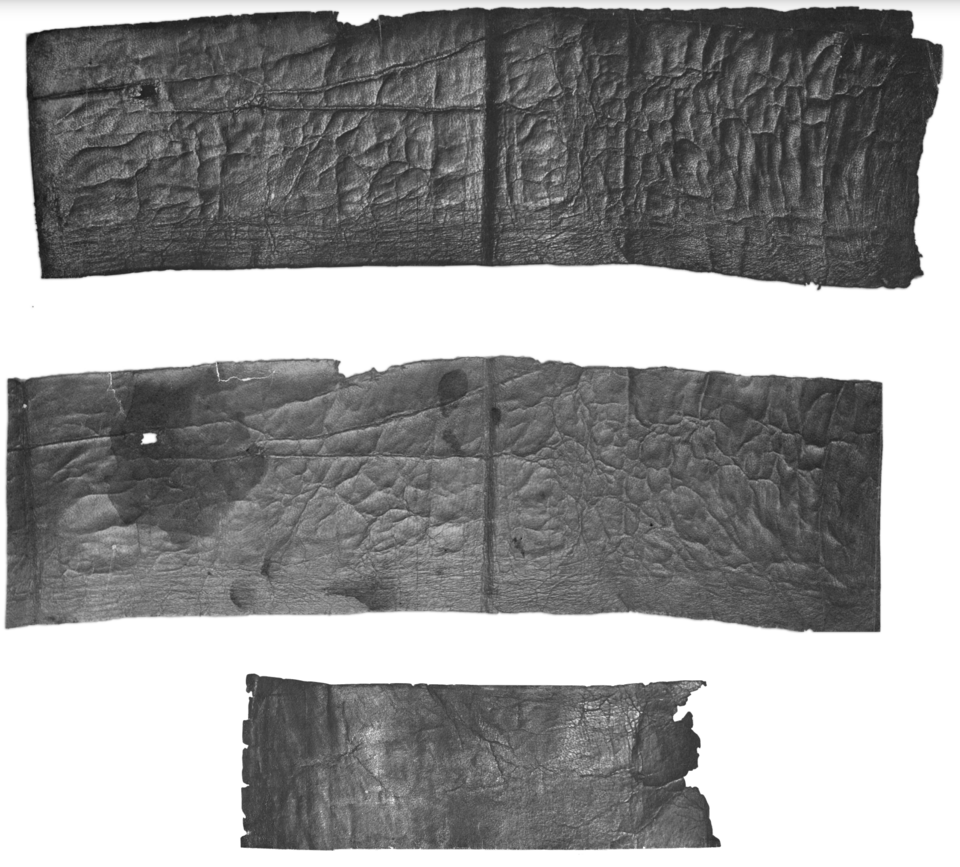 #7 - The Shapira Deuteronomy Fragments: Bible Texts for a Deep-Pocketed Museum