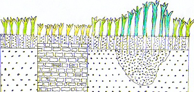 #3 - The Wall That Refuses to Feed the Crops Above It 