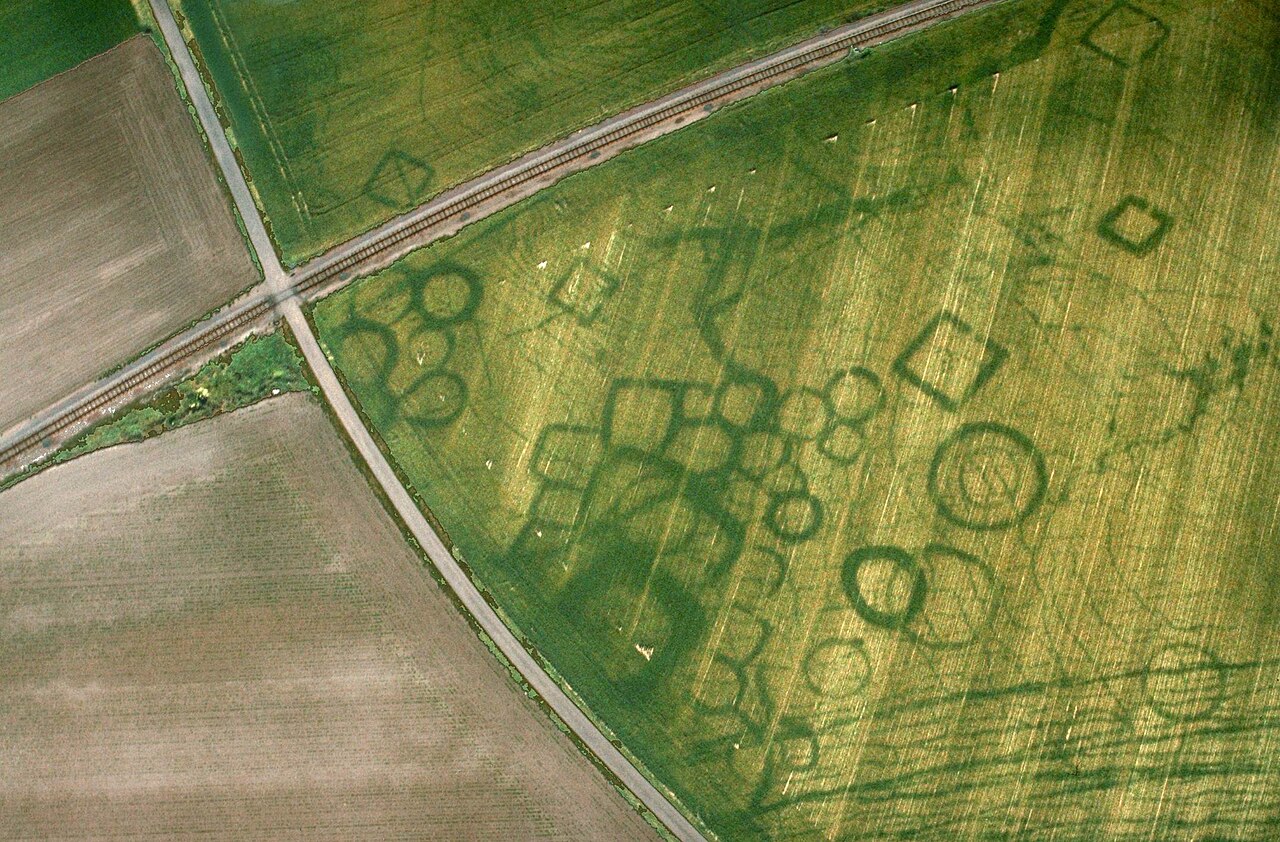 #5 - Parch Marks: The Ghost Outlines on Grass and Lawns