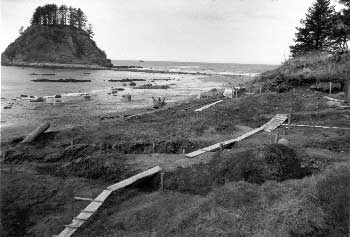 #7 - Ozette, Washington: North America's Buried Whaling Village