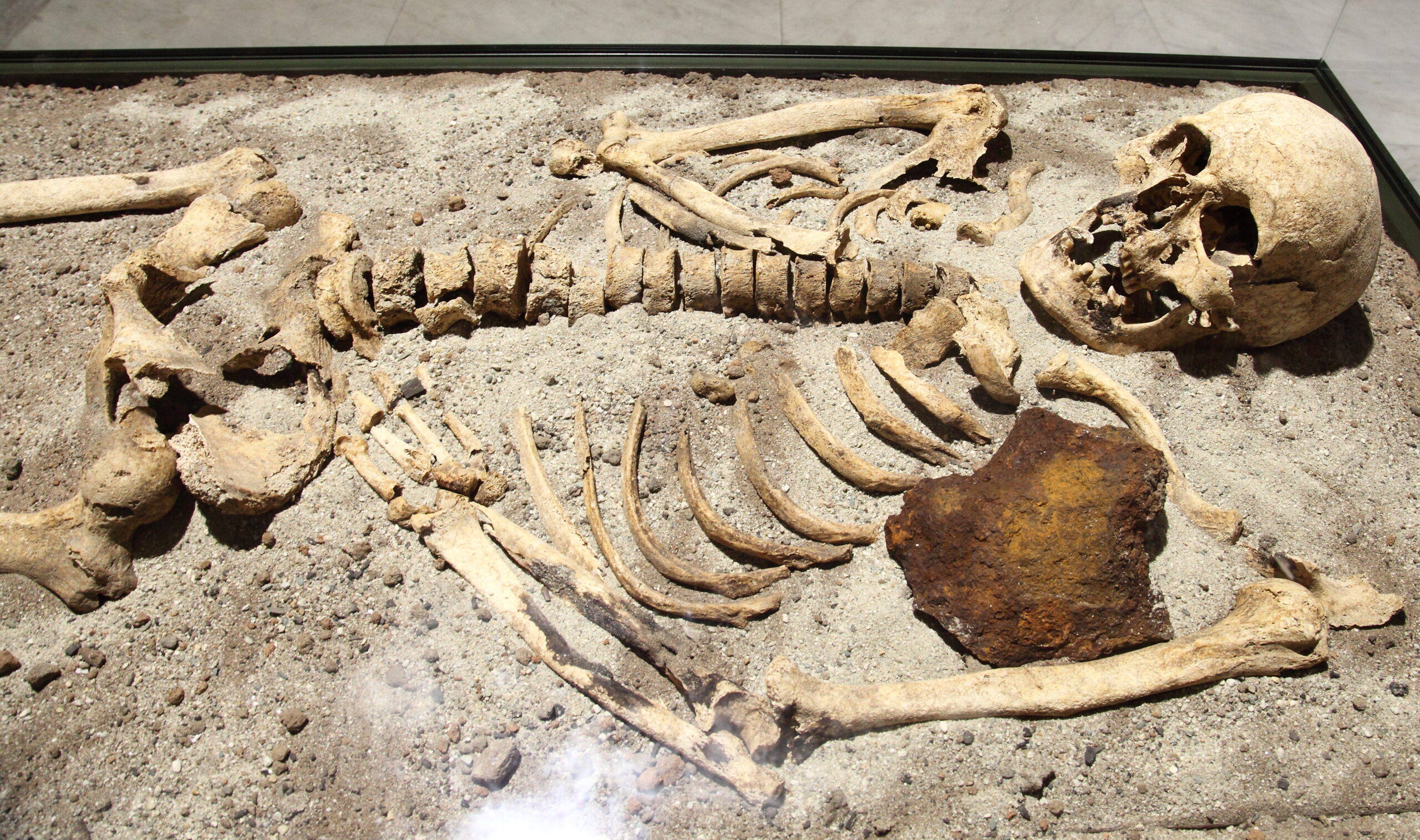 #5 The Vlad Dracula–Era “Vampire” Burials: Pinning the Dead Down