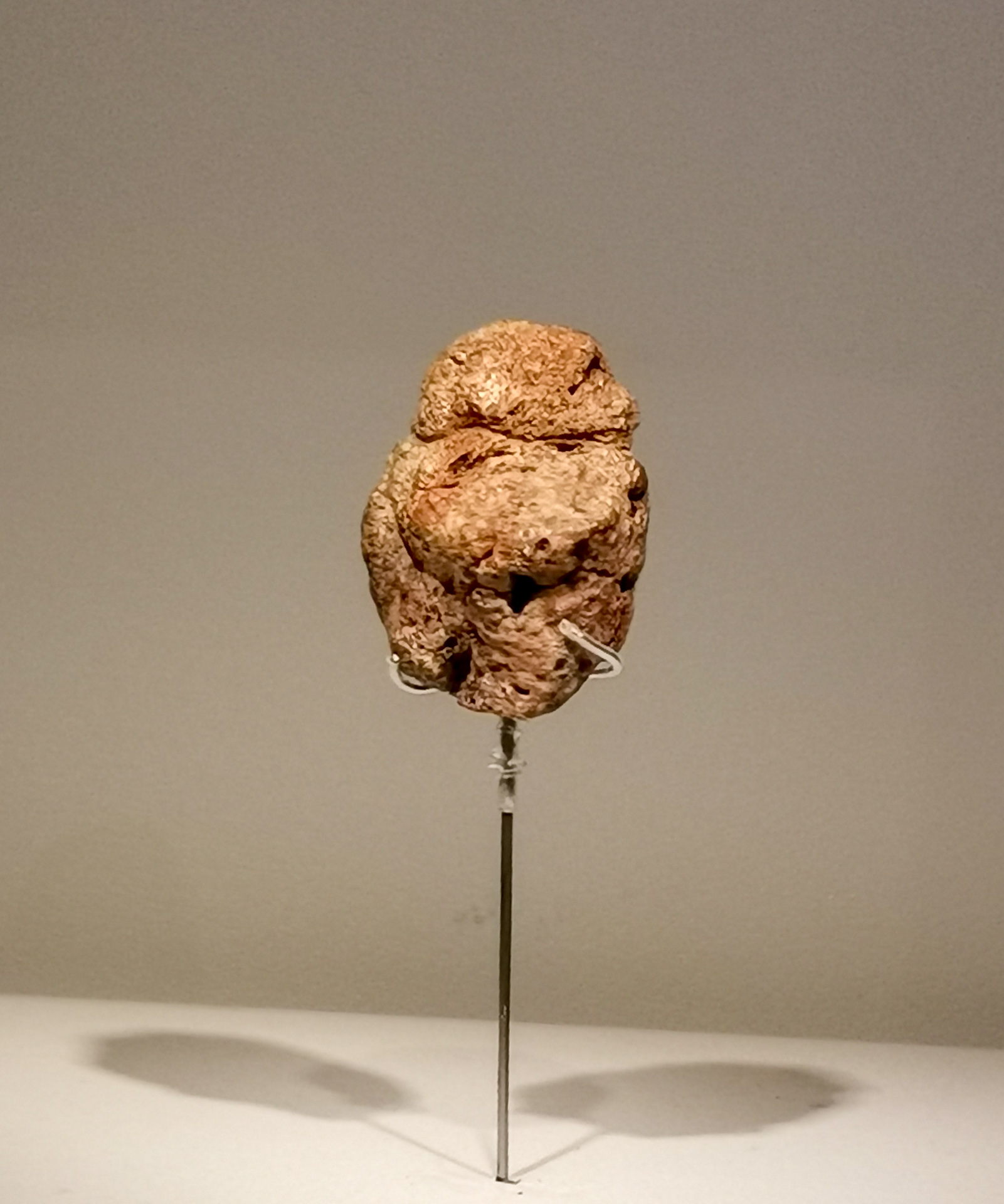 The Berekhat Ram Figurine